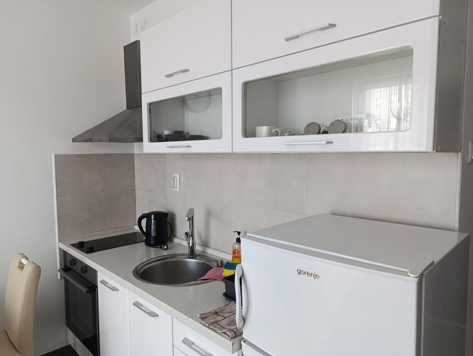 Nikola Ns Apartment Novi Sad Exterior photo